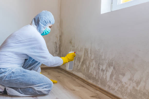 Commercial Mold Remediation assessment for commercial property in Howell